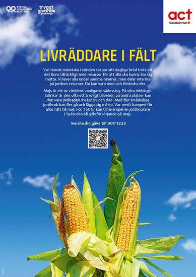 Bild på Kampanjaffisch A4, Huvudbild med majs