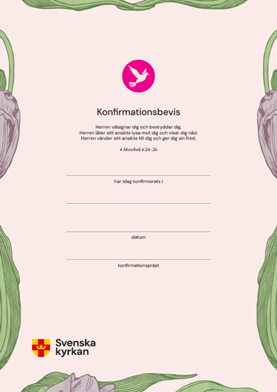 Bild på Bevisserien / Konfirmationsbevis, 25-pack + mapp